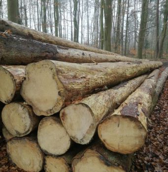 Brennholzvergabe Gemeinde Altendiez